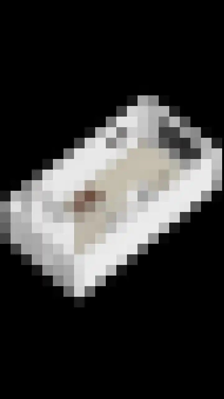 Renes 20 Scherpenzeel thumbnail 28