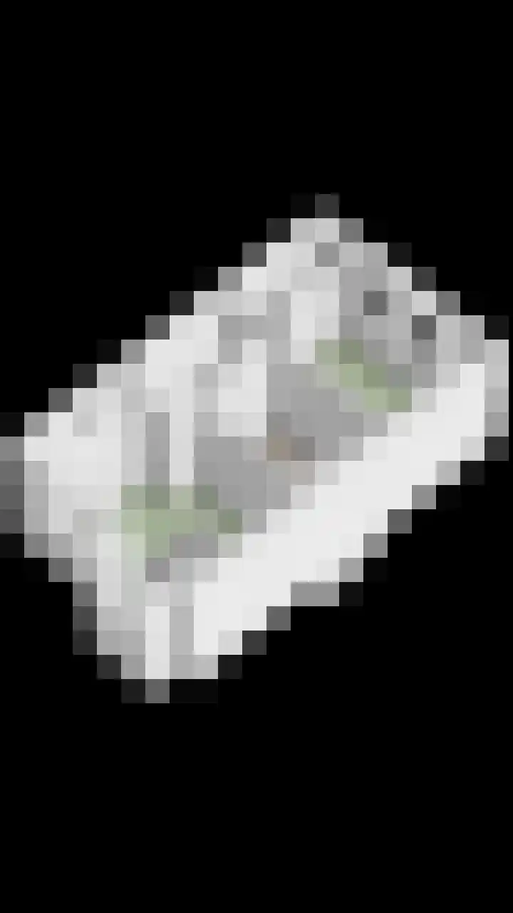 Renes 20 Scherpenzeel thumbnail 29