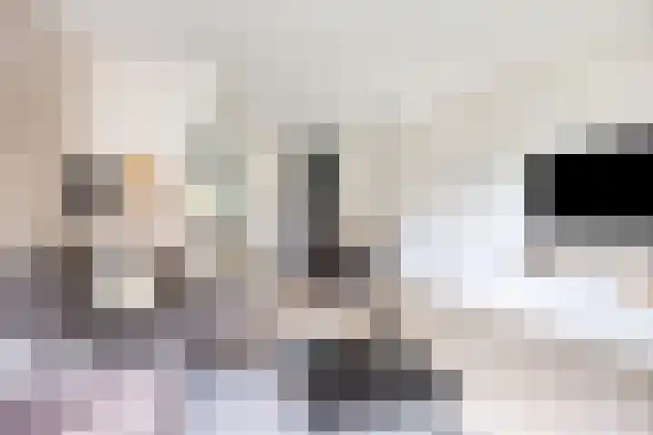 Renes 20 Scherpenzeel foto 3
