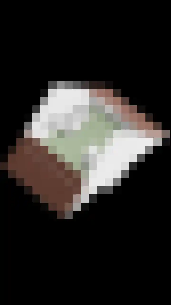 Renes 20 Scherpenzeel thumbnail 30