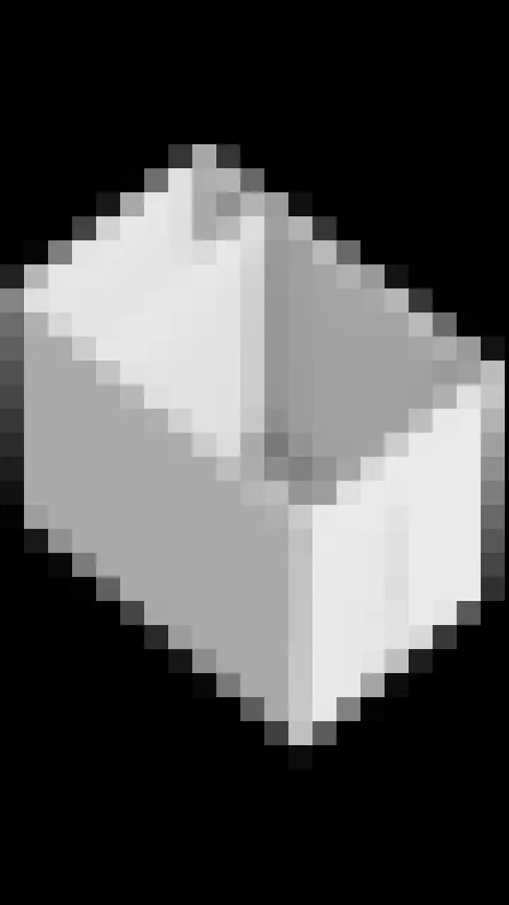 Renes 20 Scherpenzeel thumbnail 31
