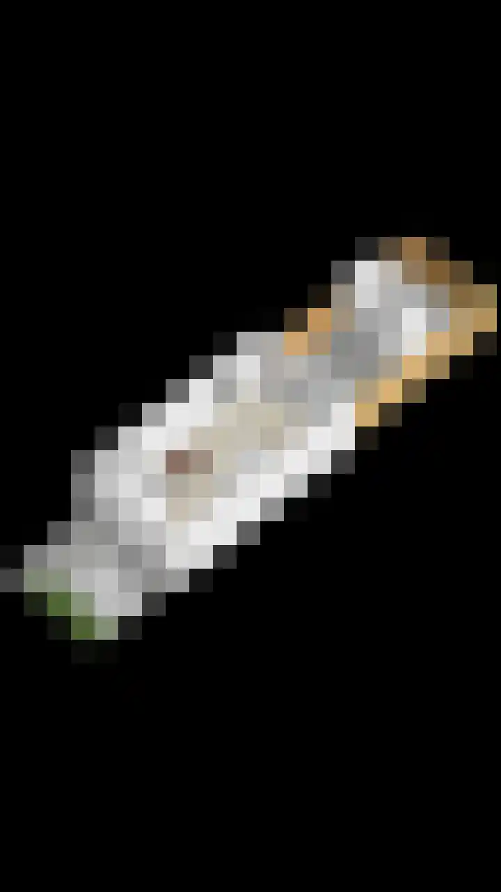 Renes 20 Scherpenzeel thumbnail 32