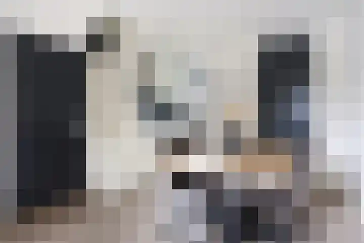 Renes 20 Scherpenzeel thumbnail 4