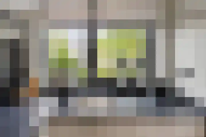 Renes 20 Scherpenzeel thumbnail 6