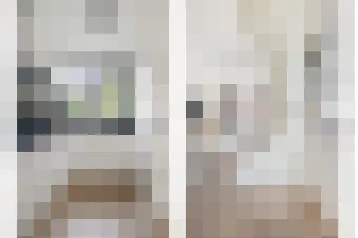 Renes 20 Scherpenzeel thumbnail 7