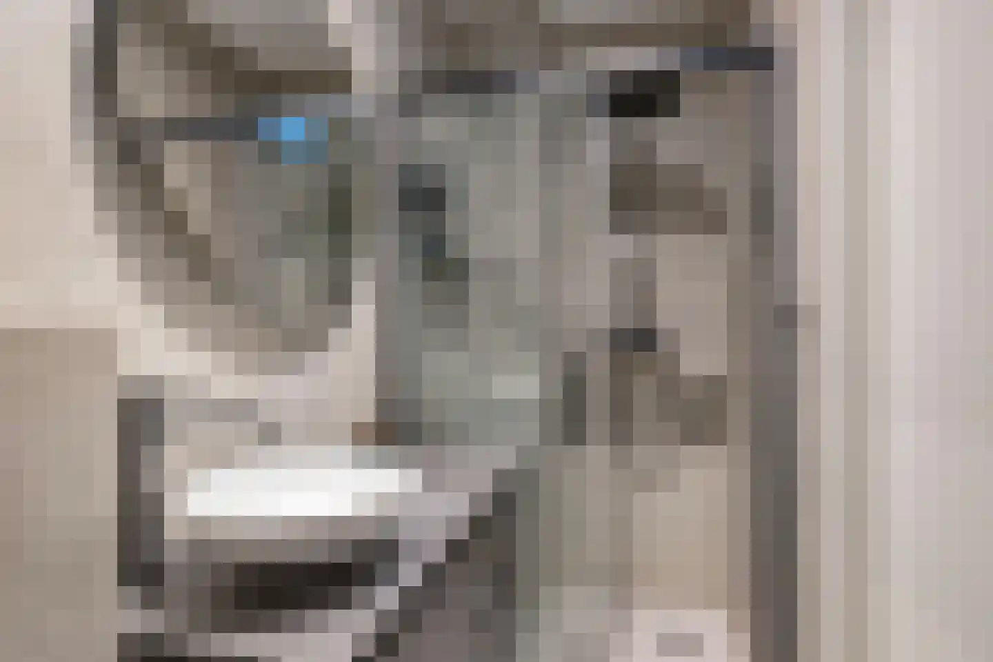 Renes 26 Scherpenzeel thumbnail 10