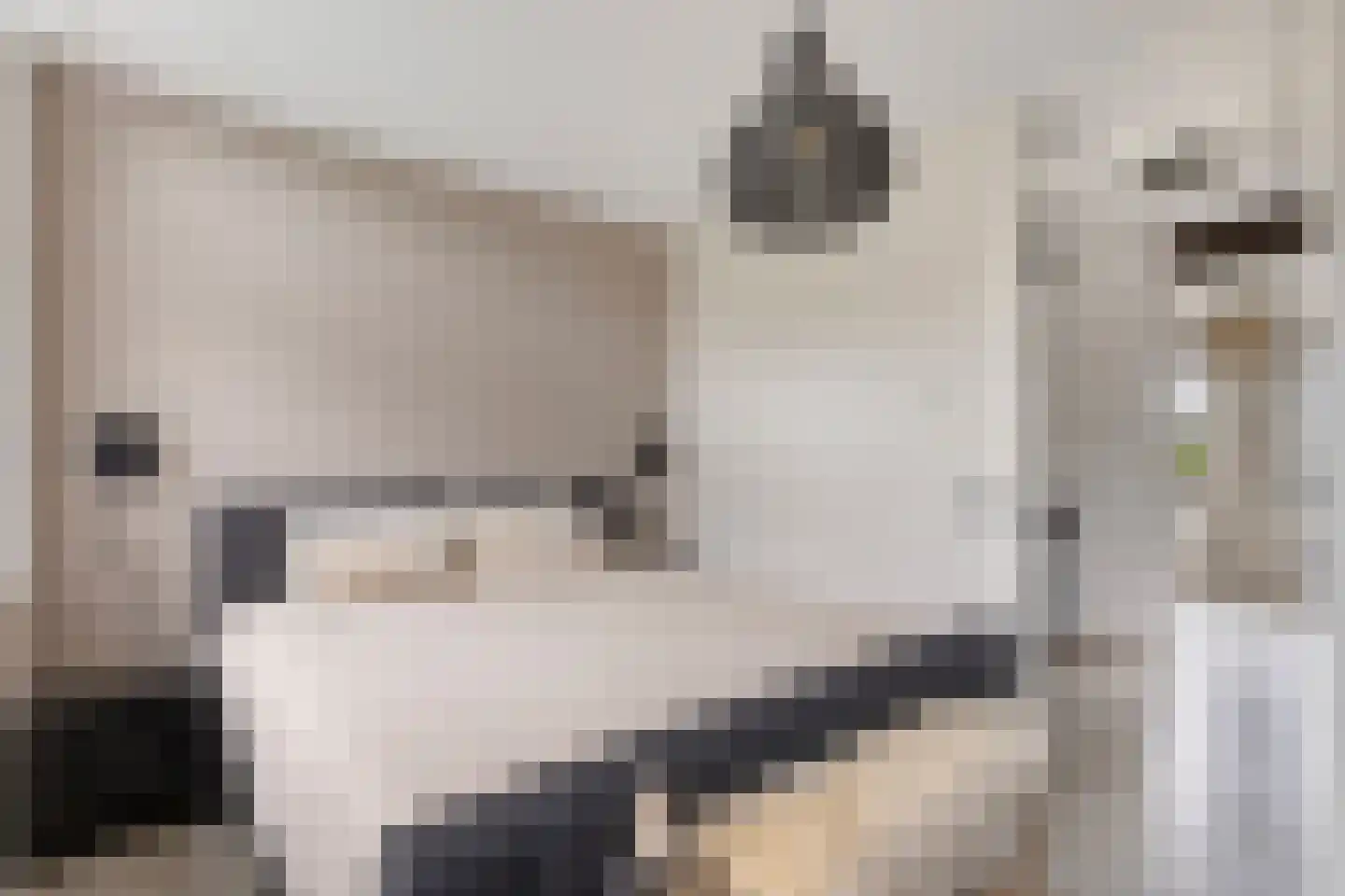Renes 26 Scherpenzeel thumbnail 11