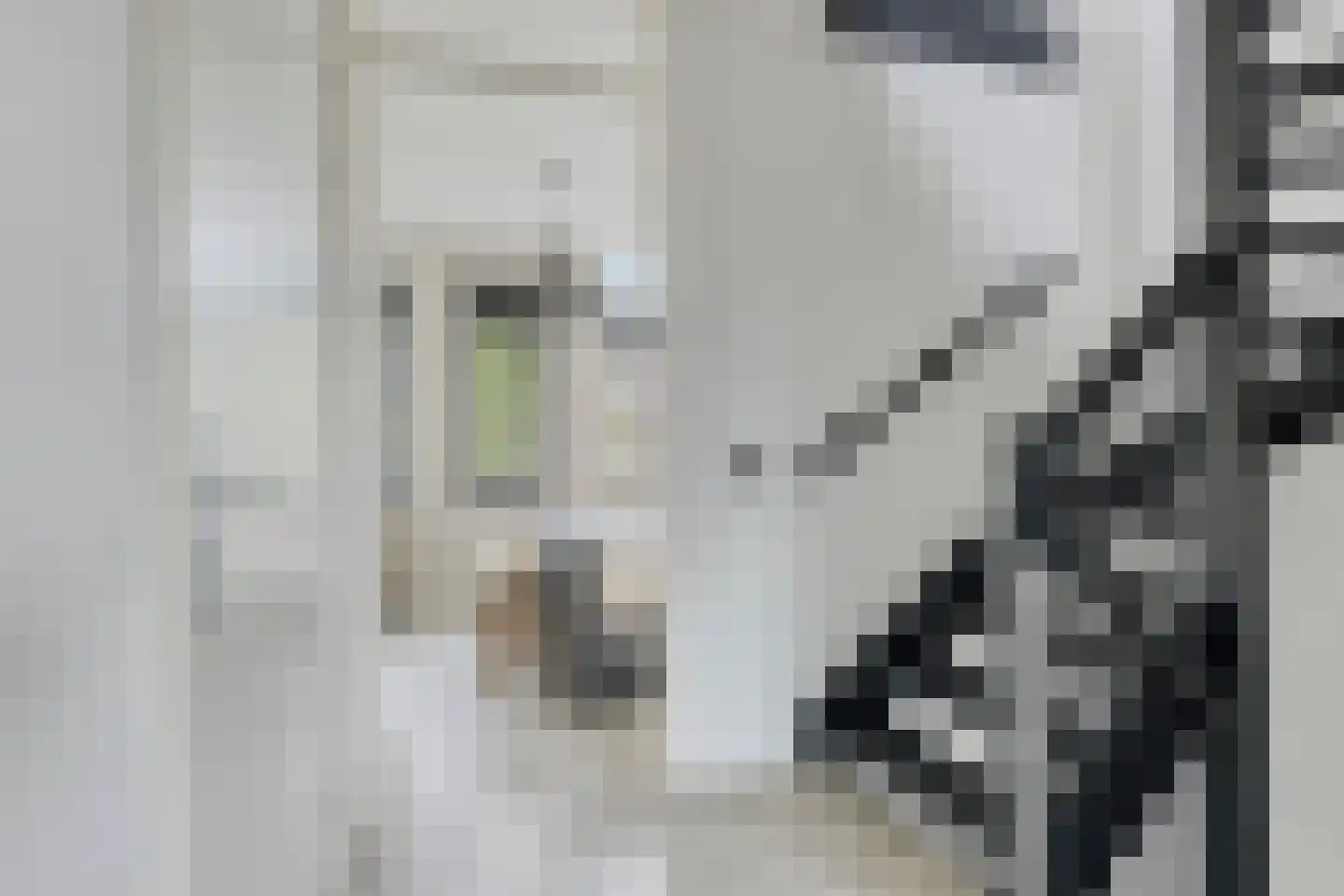 Renes 26 Scherpenzeel thumbnail 15