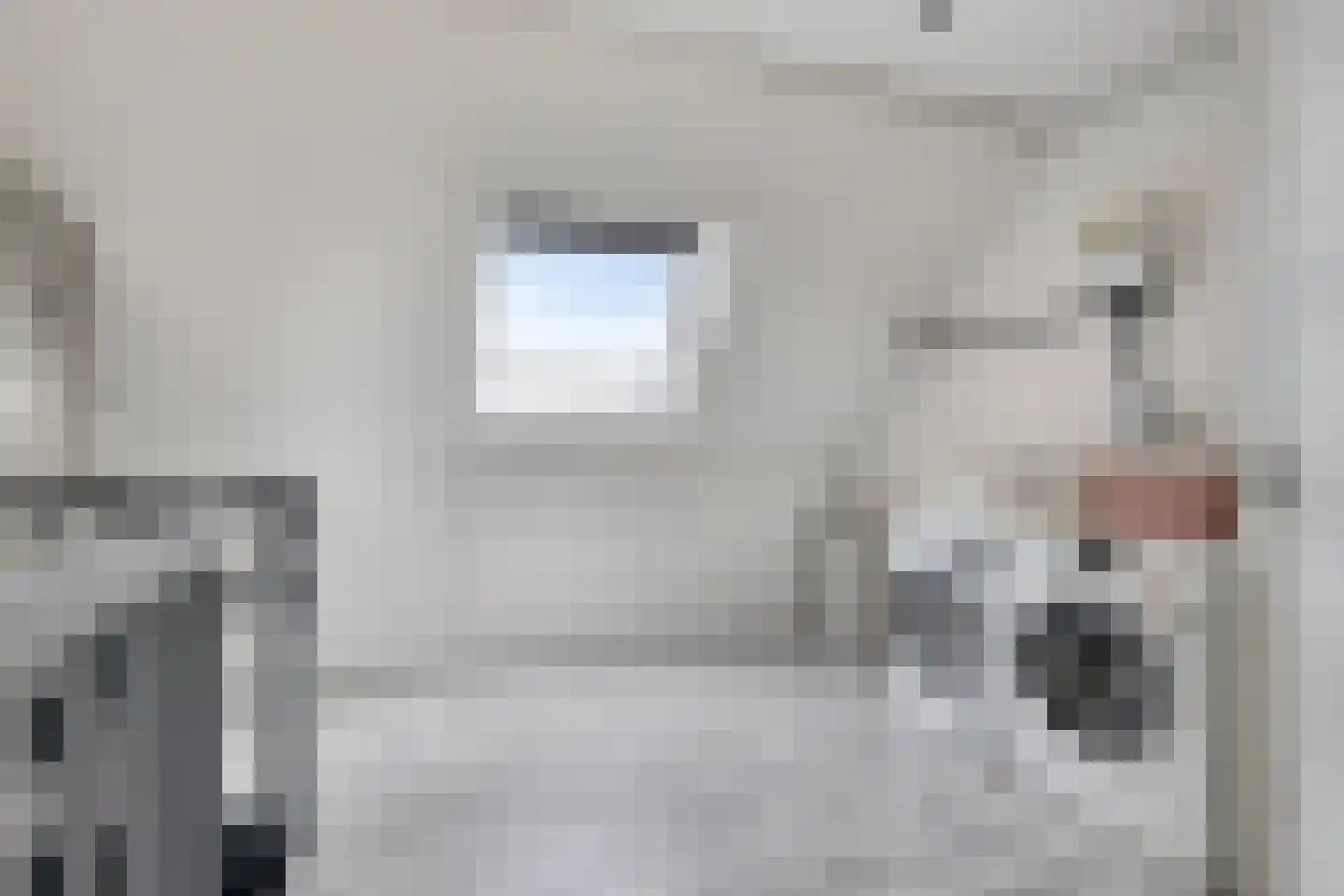 Renes 26 Scherpenzeel thumbnail 16