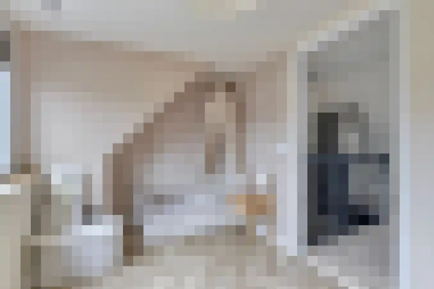 Renes 26 Scherpenzeel thumbnail 18