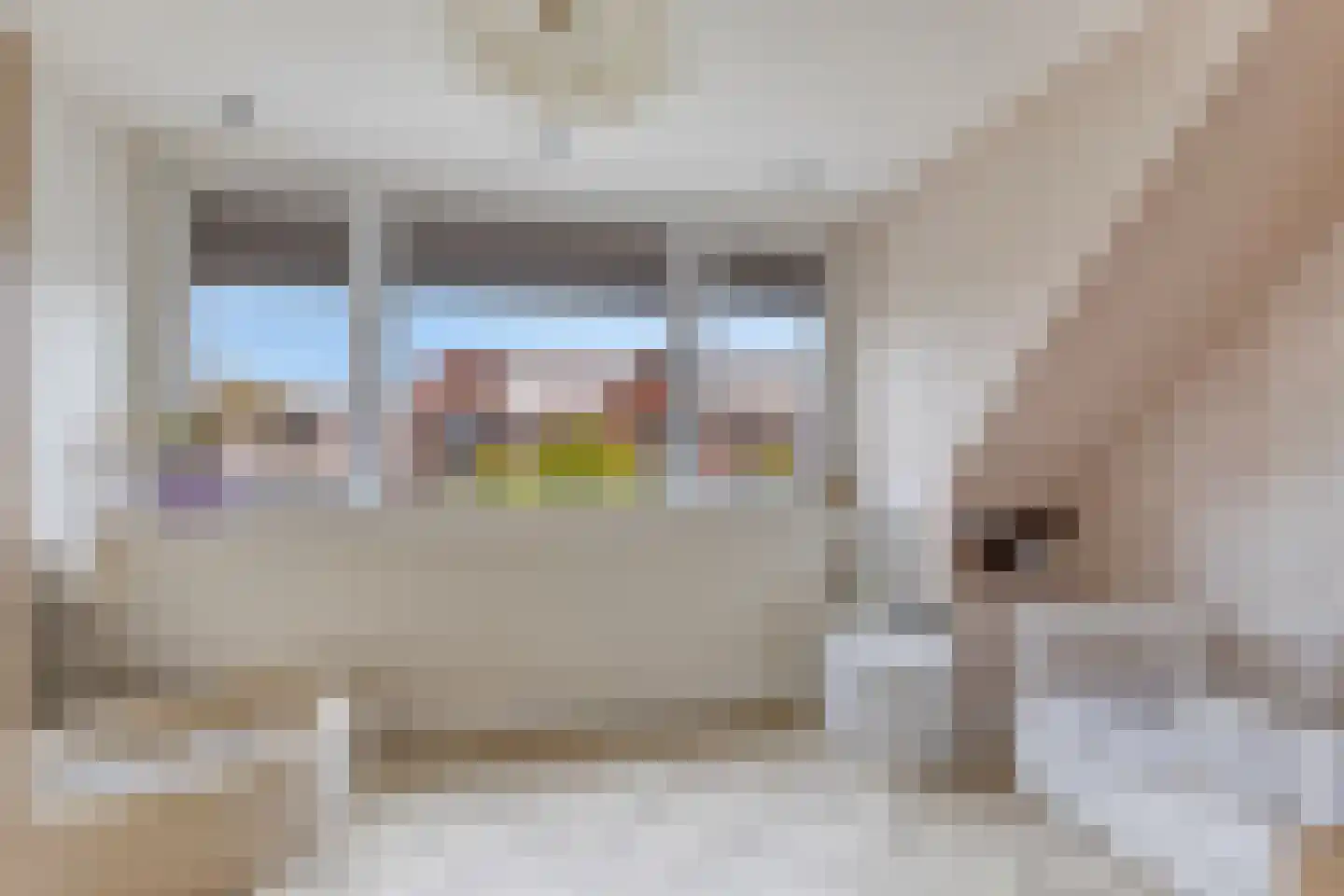 Renes 26 Scherpenzeel thumbnail 19