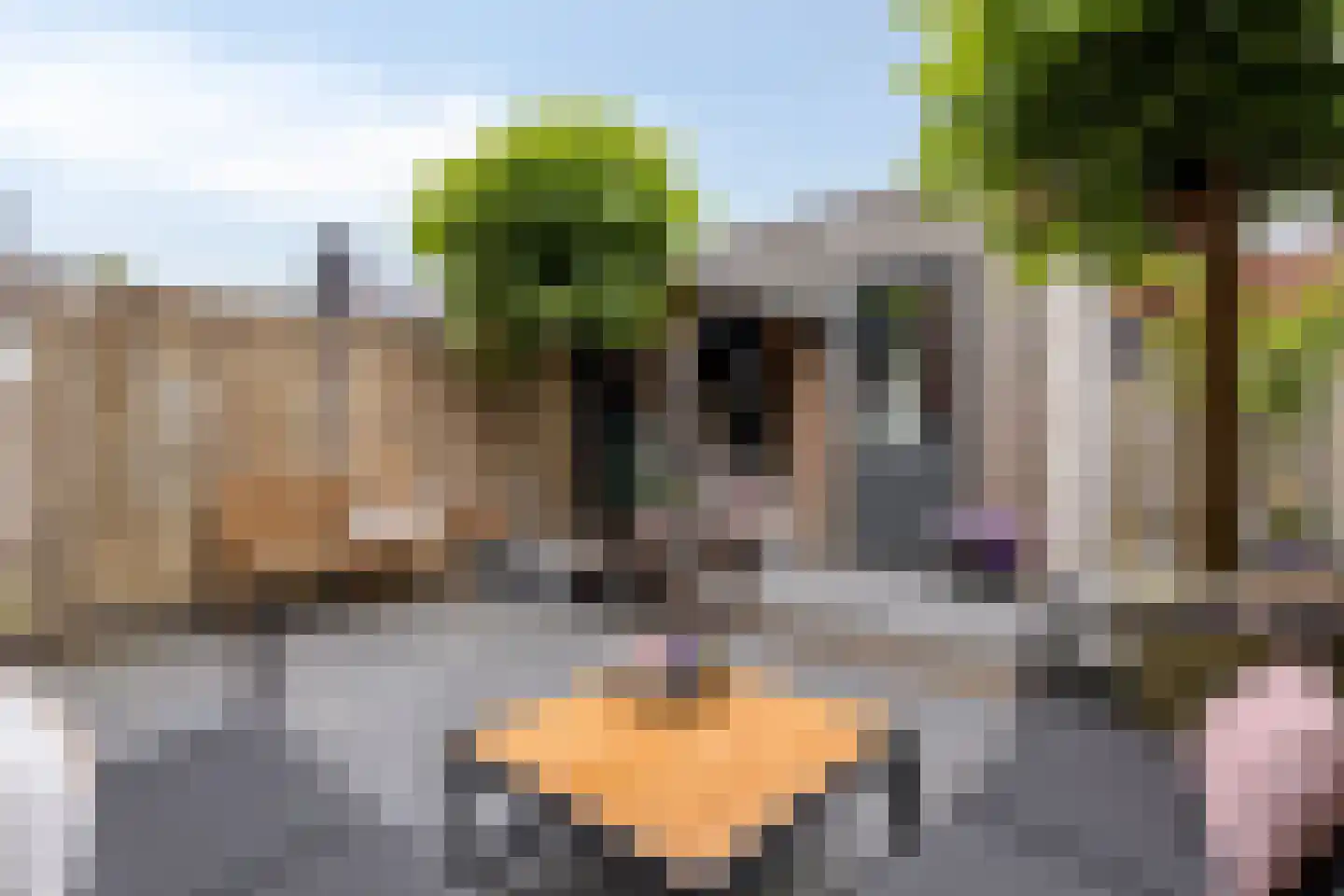 Renes 26 Scherpenzeel thumbnail 21