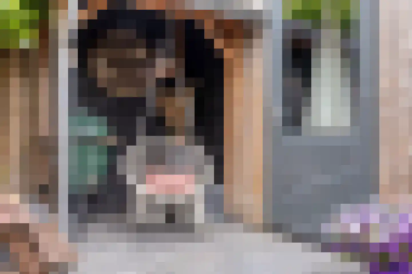 Renes 26 Scherpenzeel thumbnail 22