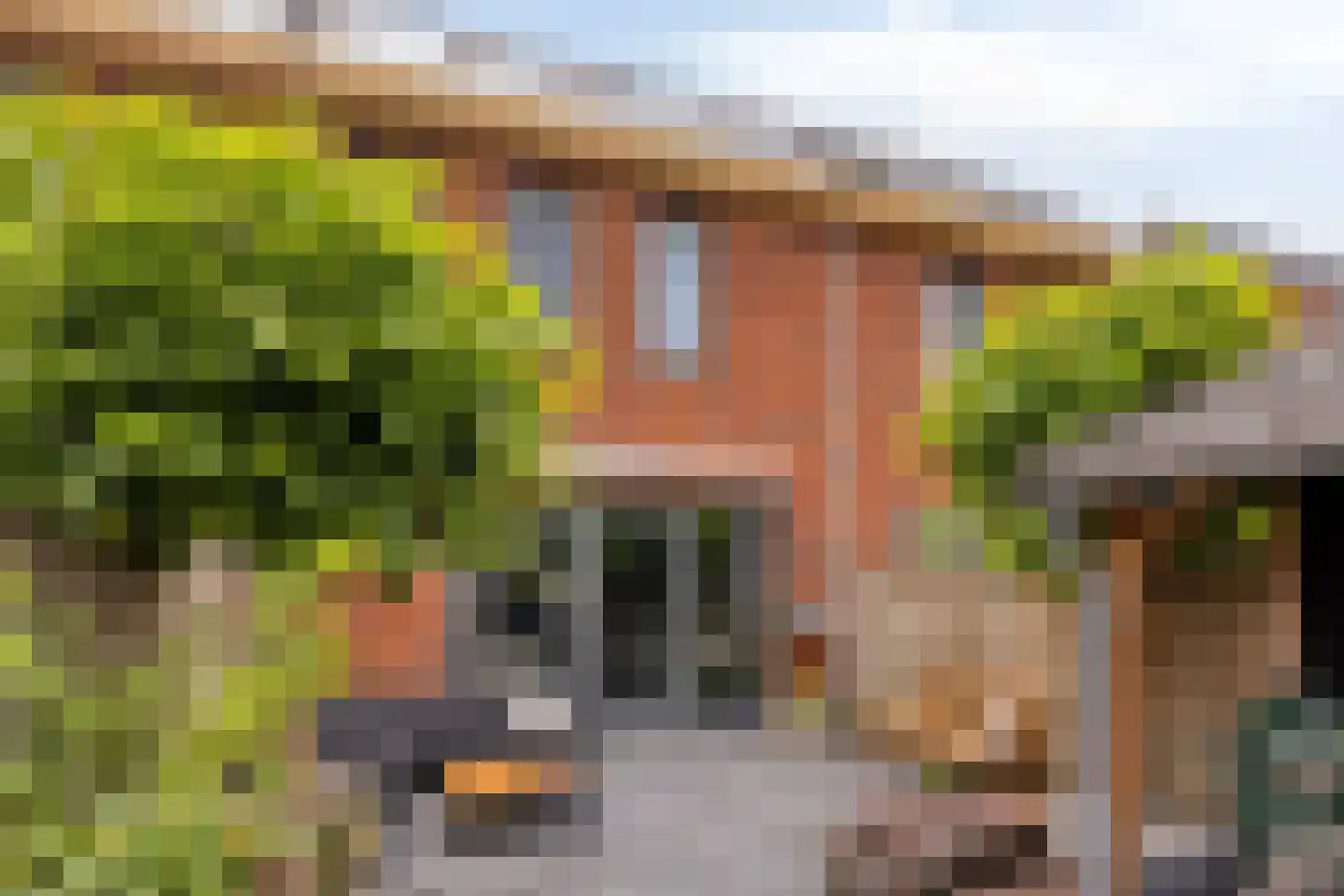 Renes 26 Scherpenzeel thumbnail 23