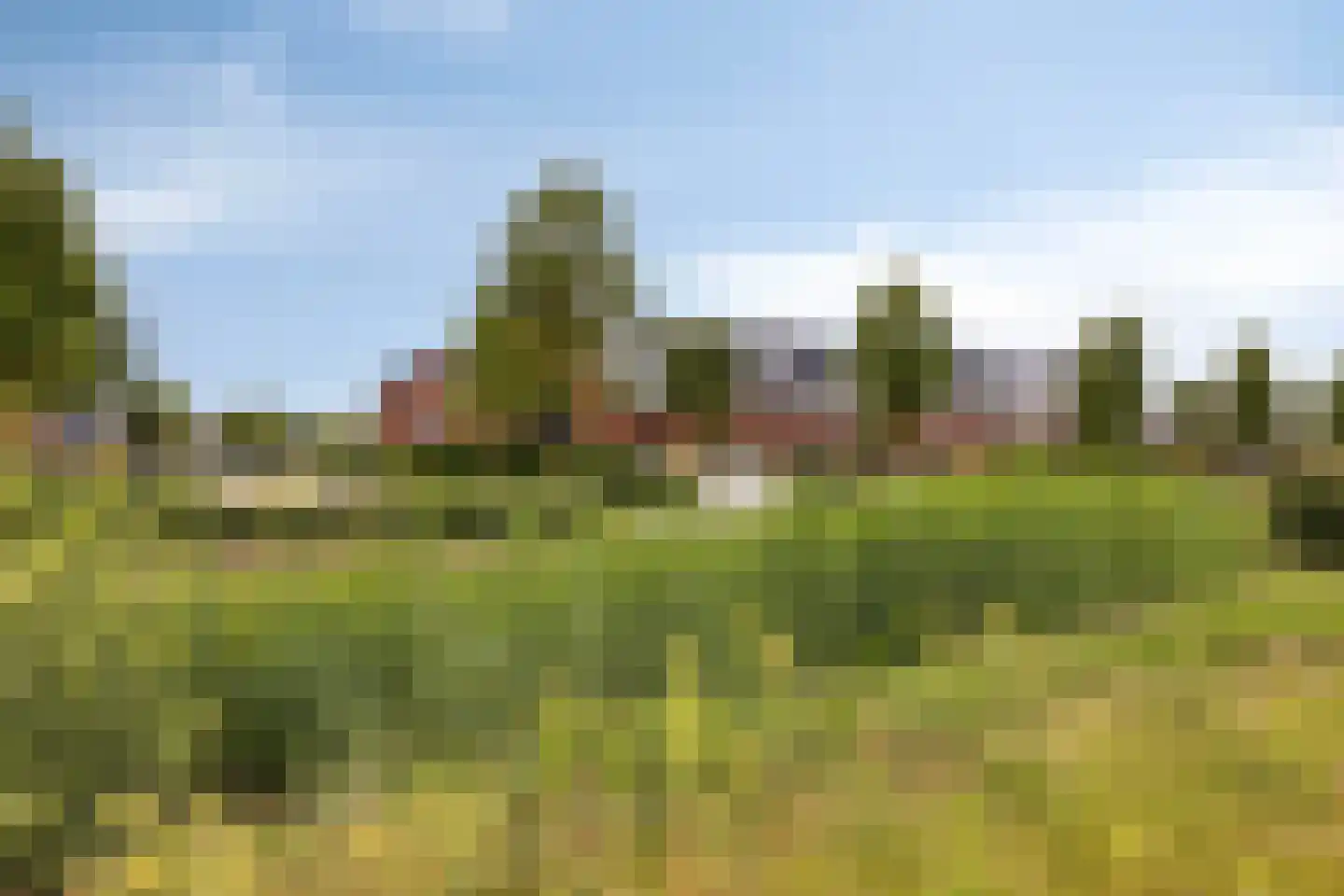 Renes 26 Scherpenzeel thumbnail 25