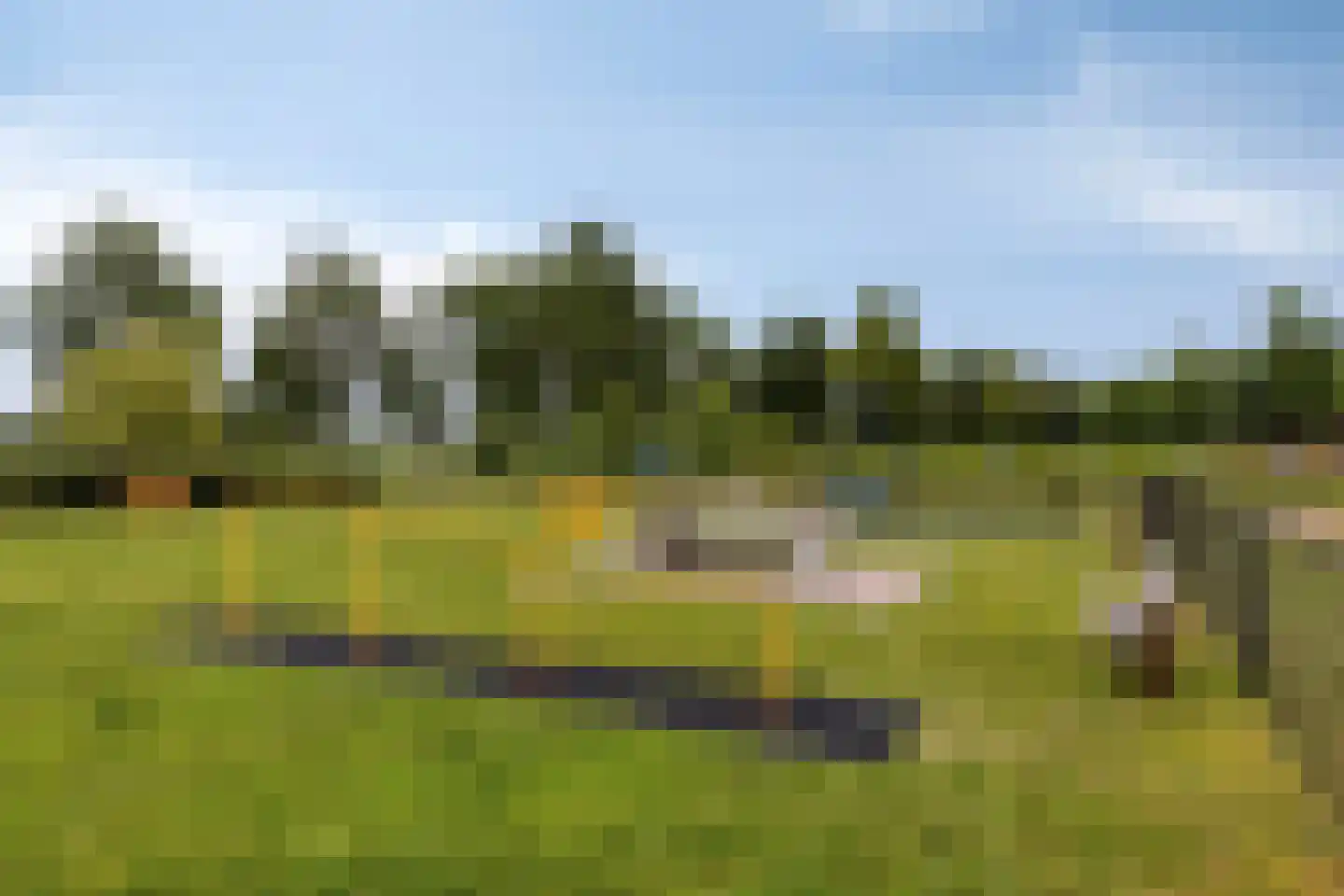 Renes 26 Scherpenzeel thumbnail 26