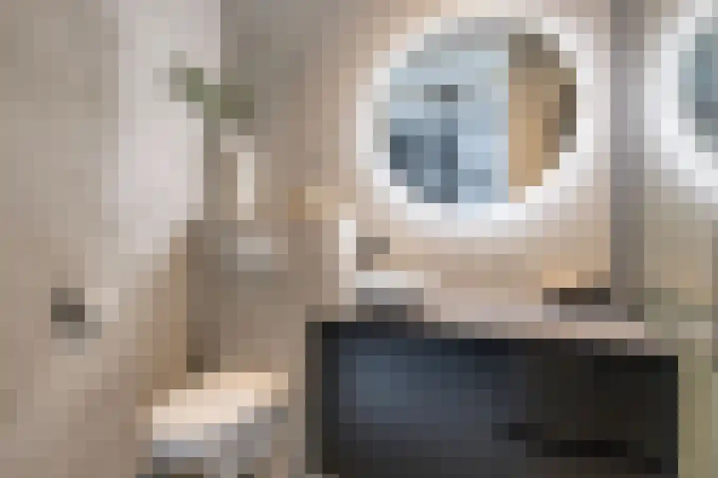 Renes 26 Scherpenzeel foto 3