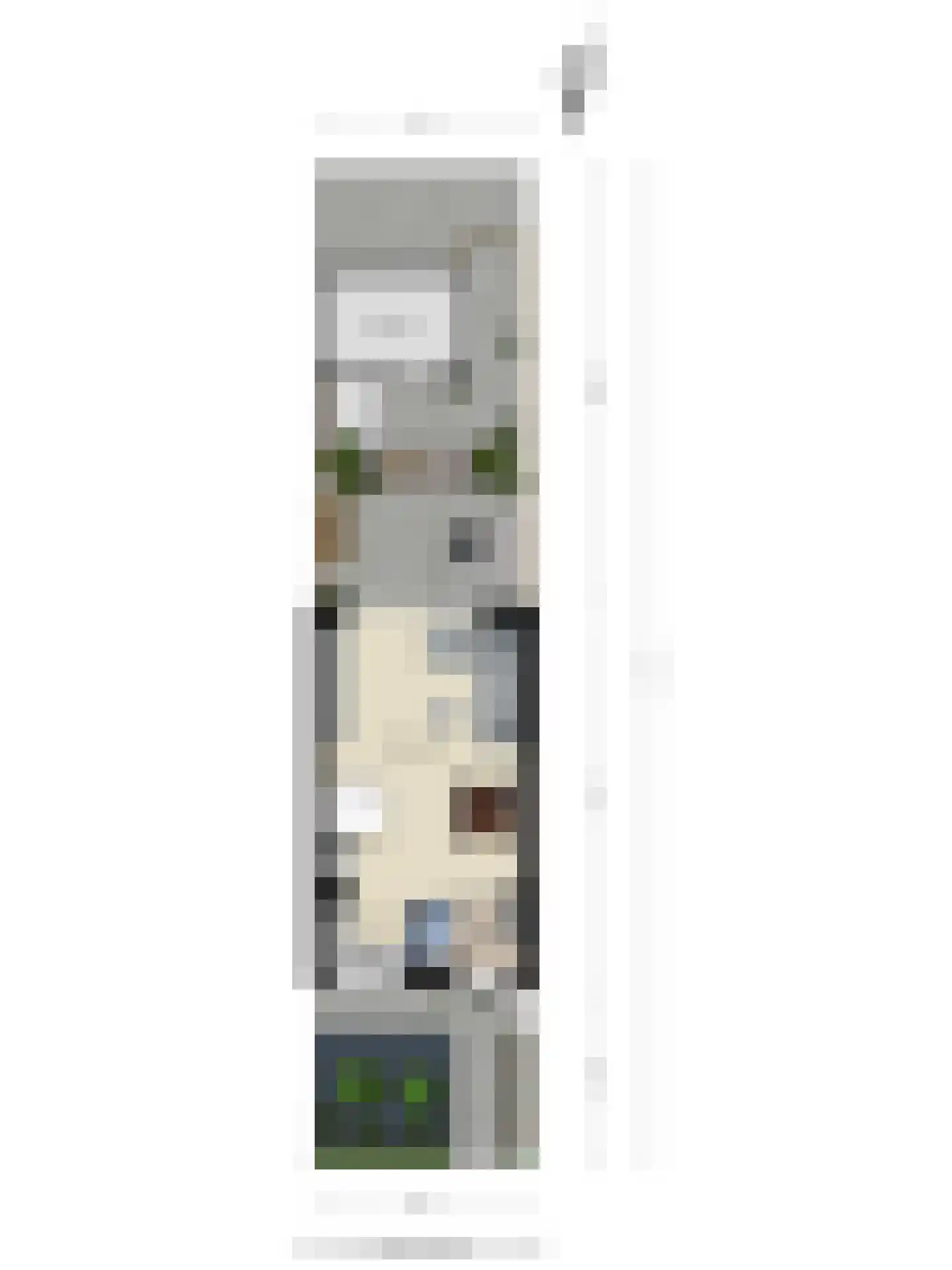 Renes 26 Scherpenzeel thumbnail 34