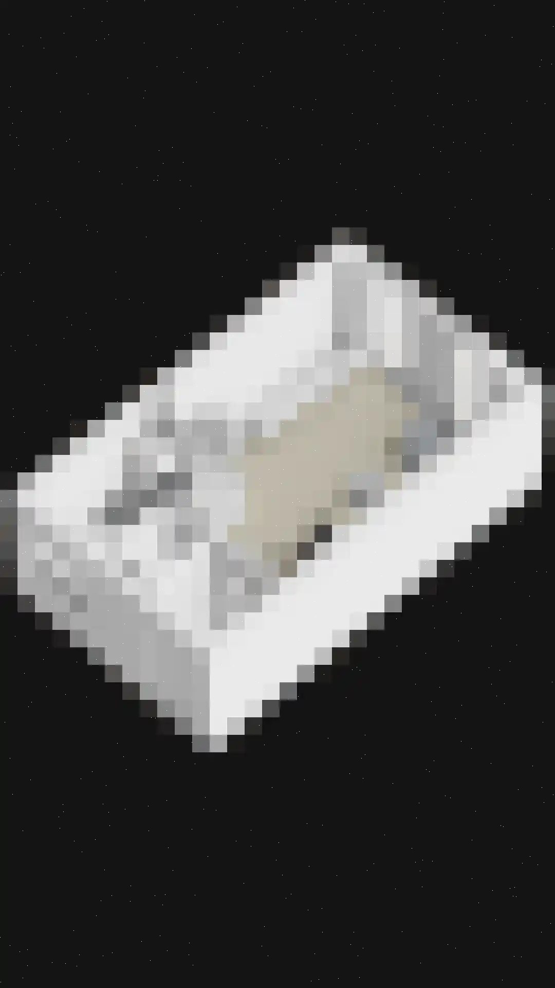 Renes 26 Scherpenzeel thumbnail 36