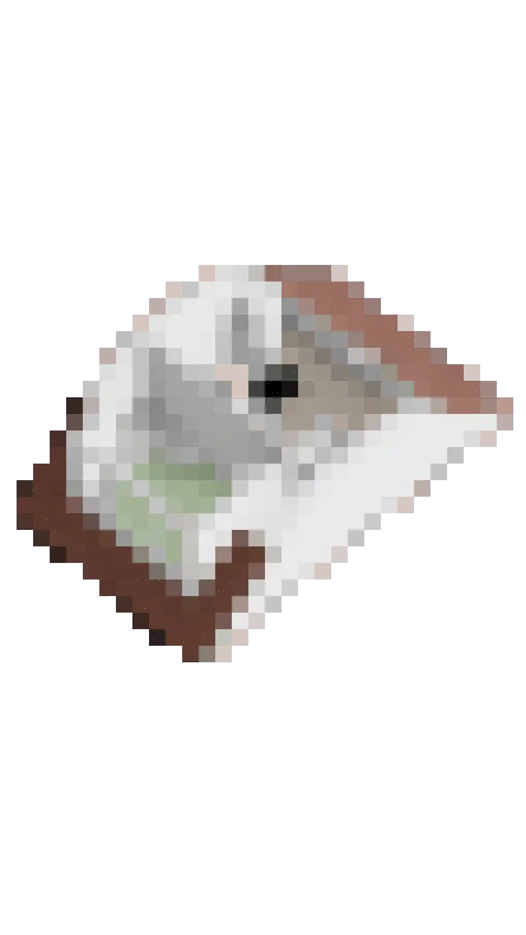Renes 26 Scherpenzeel thumbnail 38