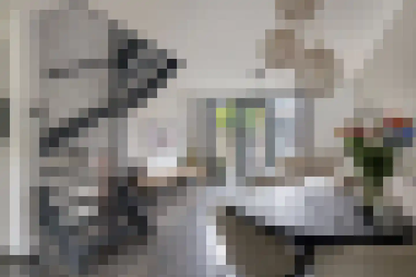 Renes 26 Scherpenzeel thumbnail 4