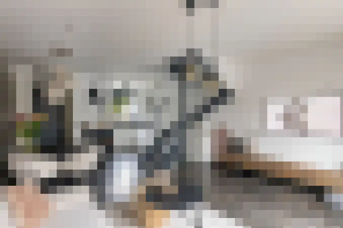 Renes 26 Scherpenzeel thumbnail 5