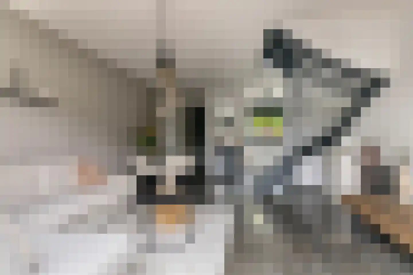 Renes 26 Scherpenzeel thumbnail 6