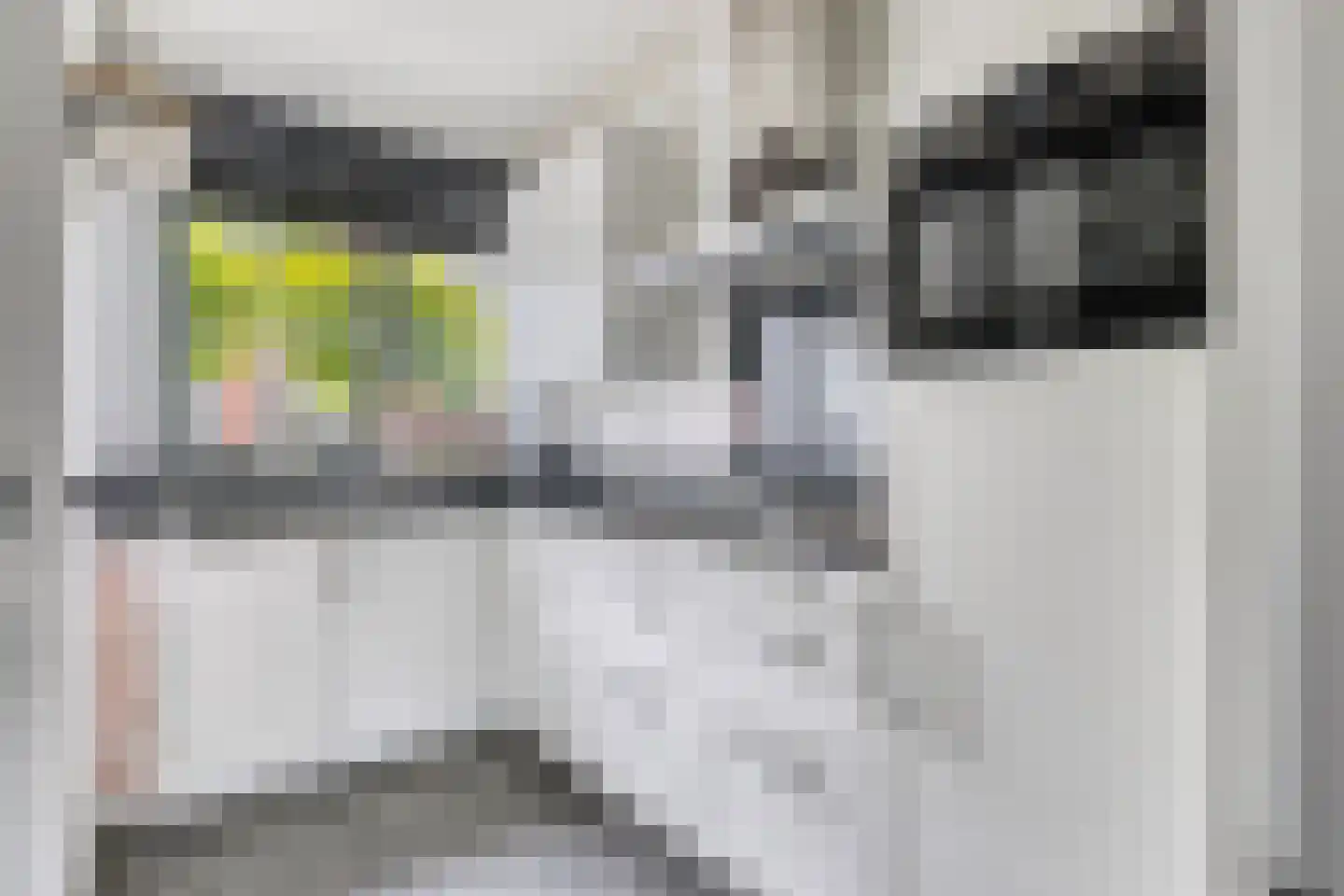Renes 26 Scherpenzeel thumbnail 7