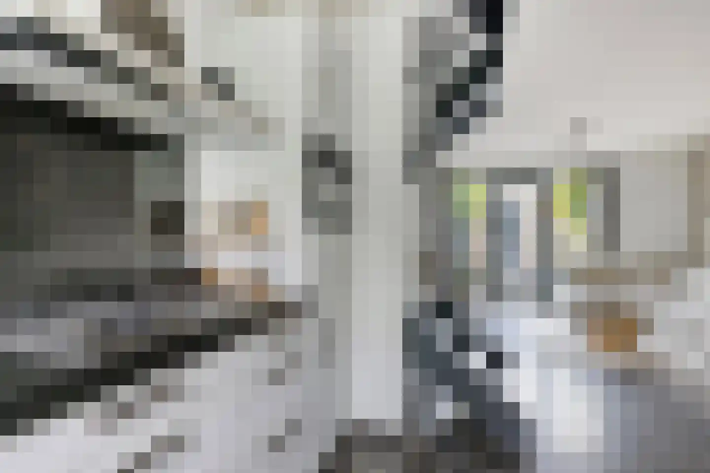 Renes 26 Scherpenzeel thumbnail 8