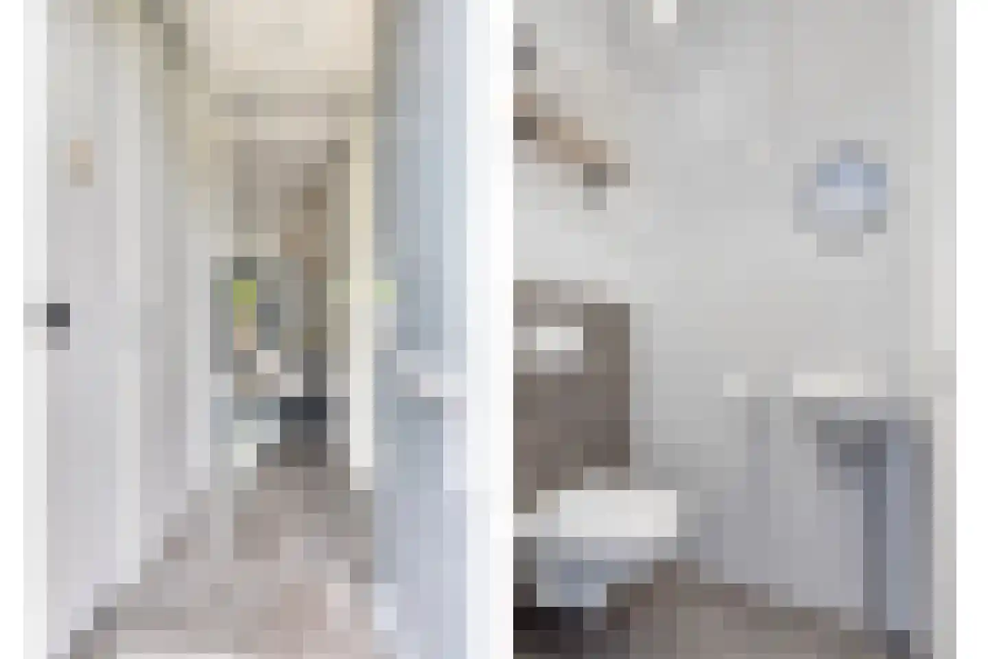 Renes 26 Scherpenzeel thumbnail 9