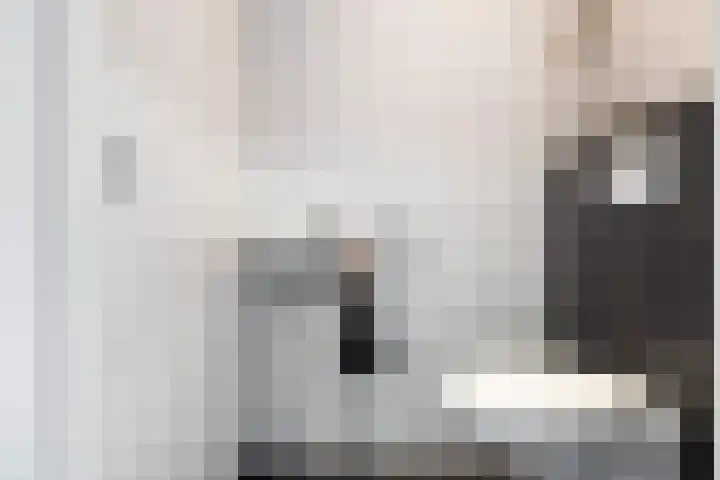 Renes 31 a Scherpenzeel thumbnail 10
