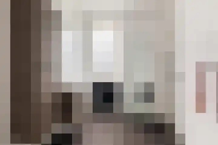 Renes 31 a Scherpenzeel thumbnail 15