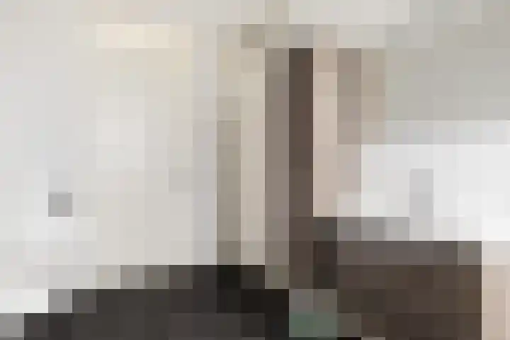 Renes 31 a Scherpenzeel thumbnail 16
