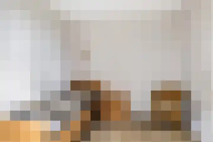 Renes 31 a Scherpenzeel thumbnail 17