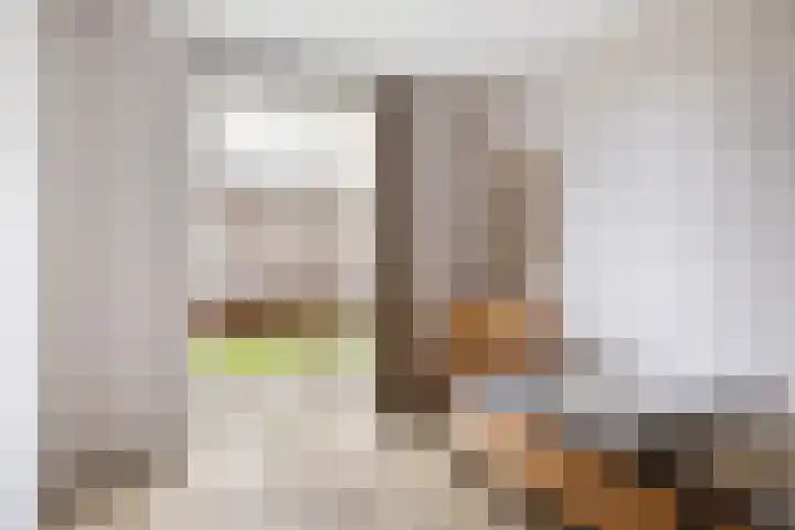 Renes 31 a Scherpenzeel thumbnail 18
