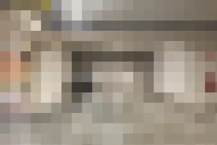 Renes 31 a Scherpenzeel thumbnail 19