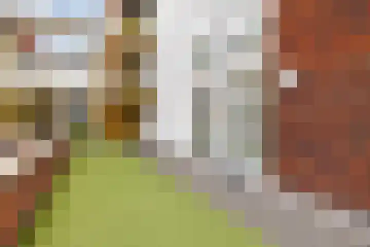 Renes 31 a Scherpenzeel thumbnail 20
