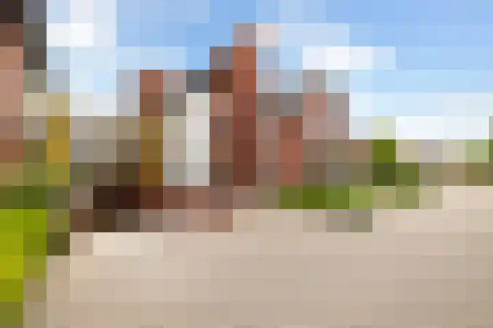 Renes 31 a Scherpenzeel thumbnail 21