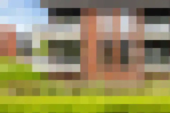 Renes 31 a Scherpenzeel thumbnail 23