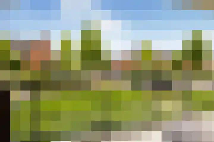 Renes 31 a Scherpenzeel thumbnail 24