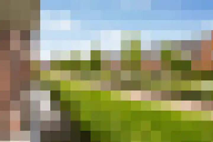 Renes 31 a Scherpenzeel thumbnail 25