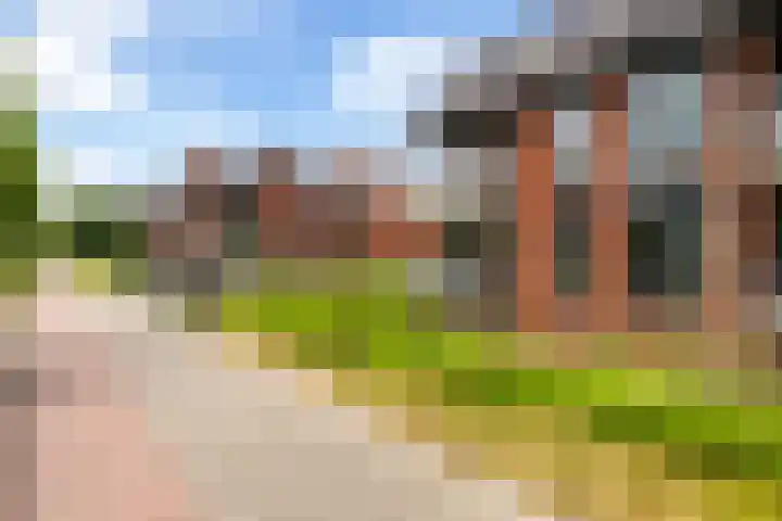Renes 31 a Scherpenzeel thumbnail 26