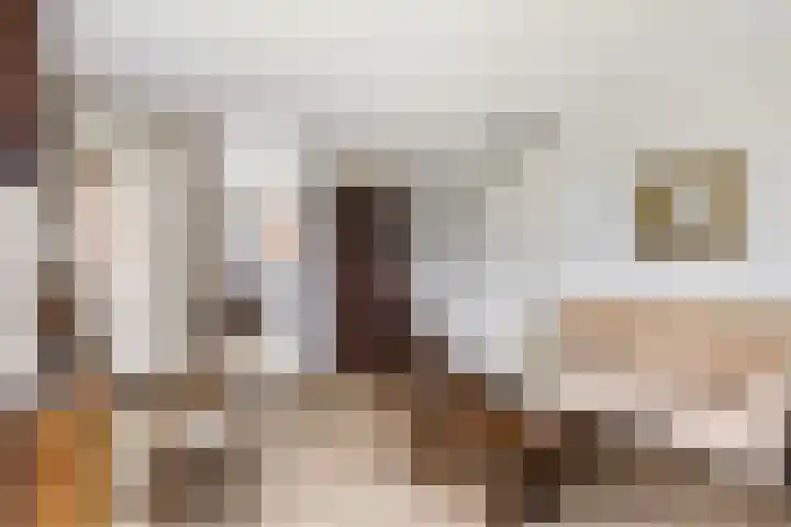 Renes 31 a Scherpenzeel thumbnail 6