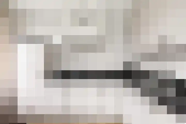 Renes 31 a Scherpenzeel thumbnail 7