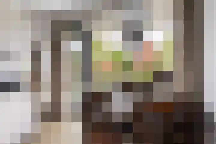 Renes 31 a Scherpenzeel thumbnail 8