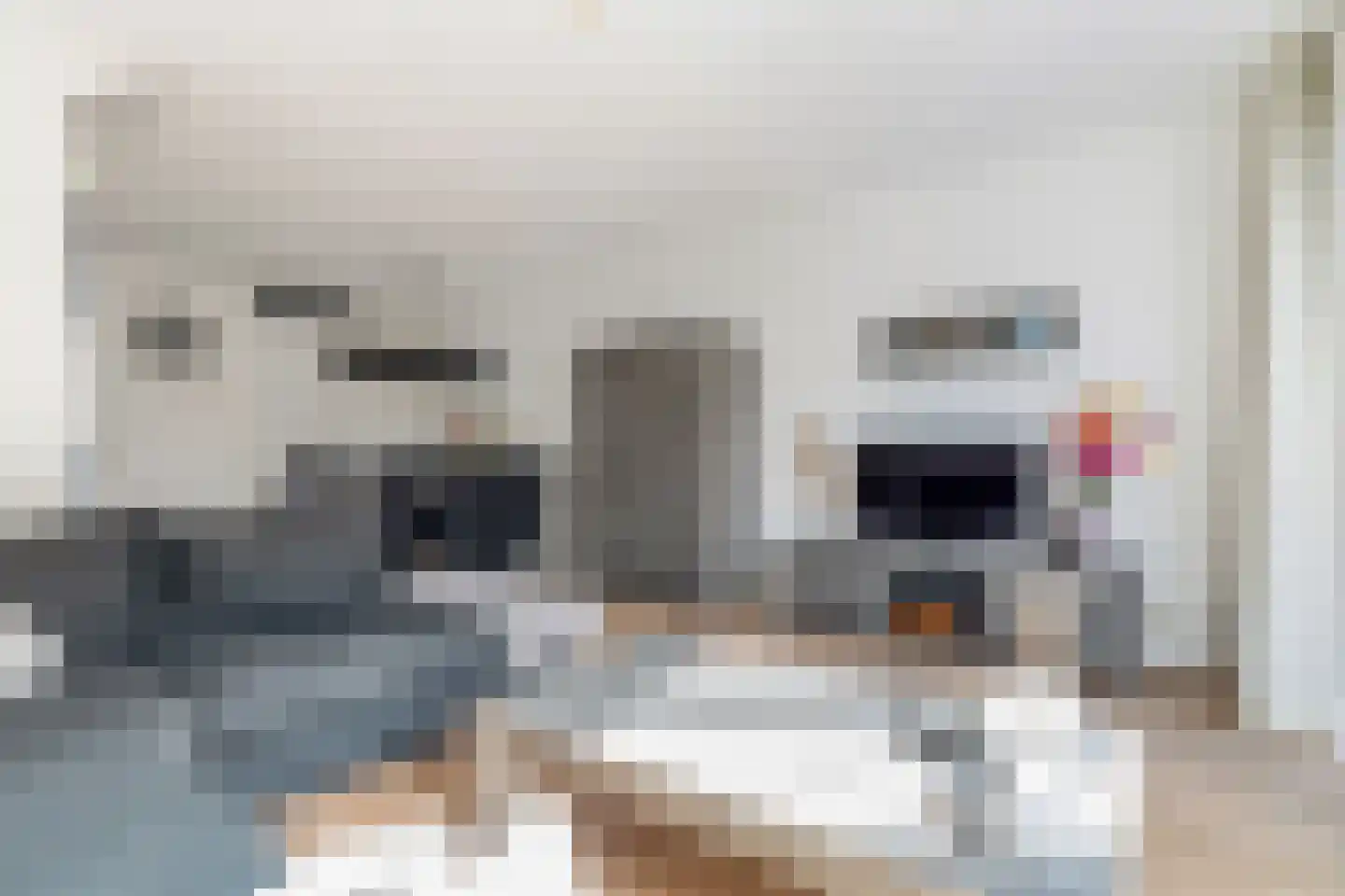 Renes 36 Scherpenzeel thumbnail 12