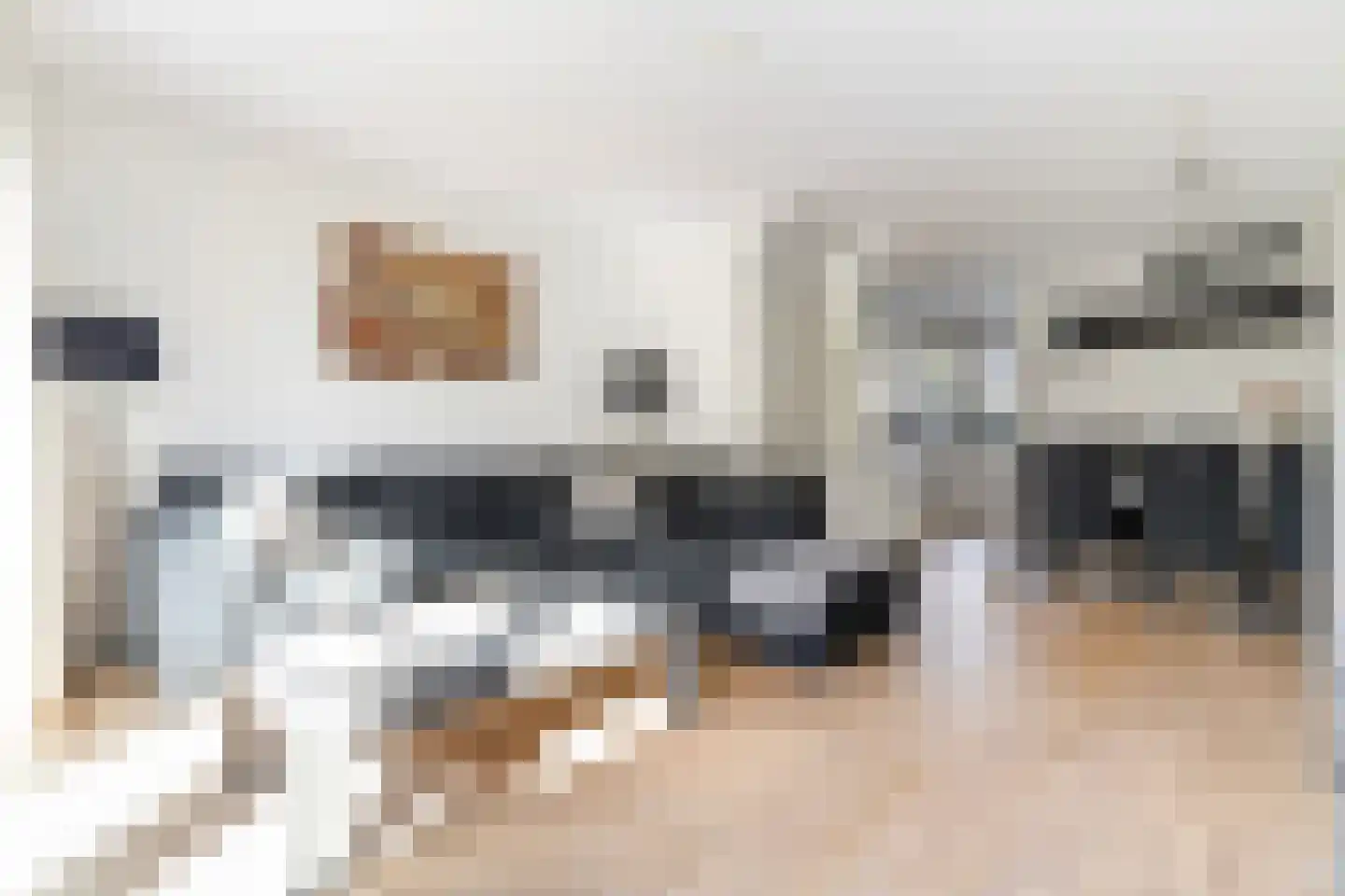 Renes 36 Scherpenzeel thumbnail 13