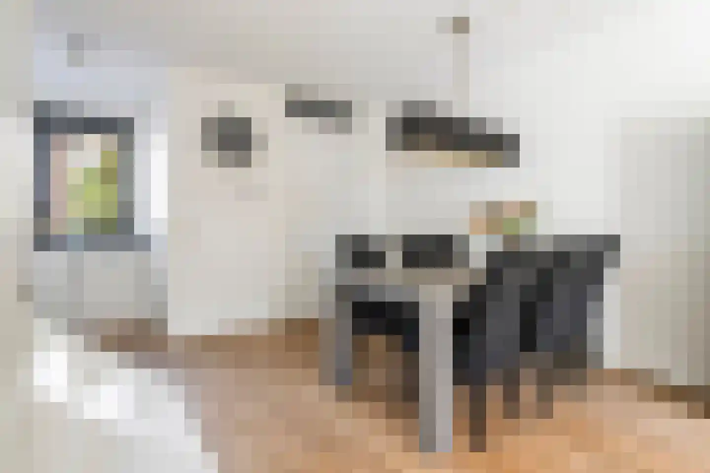 Renes 36 Scherpenzeel thumbnail 15