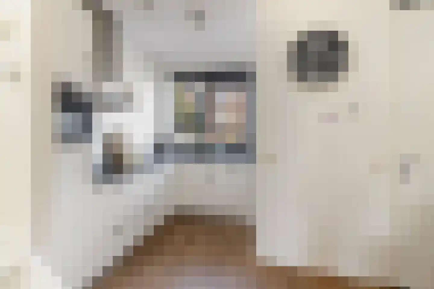 Renes 36 Scherpenzeel thumbnail 16