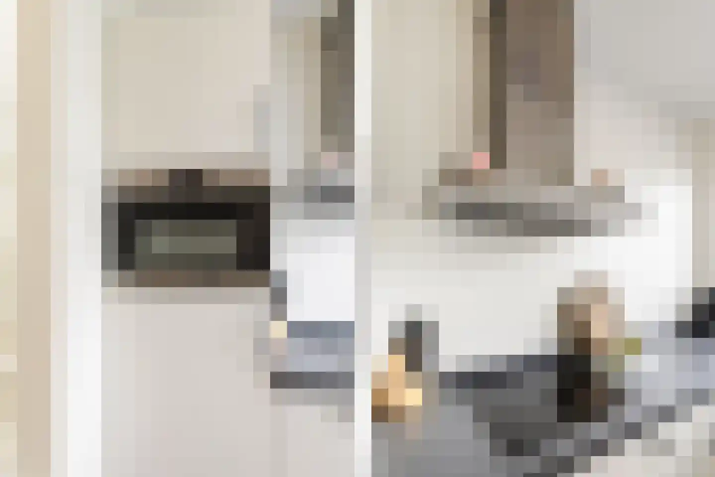 Renes 36 Scherpenzeel thumbnail 18